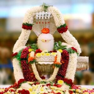 RUDRA ABHISHEK POOJA