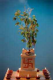 TULSHI POOJA